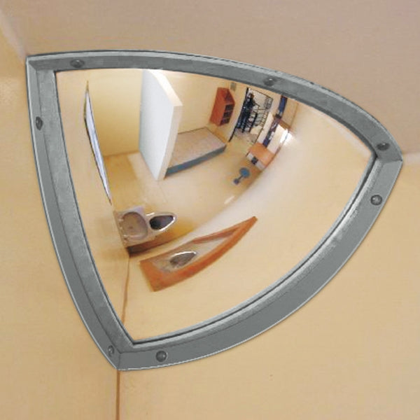 Institutional Mirror
